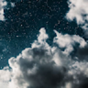 Meet your Posher, Sofia